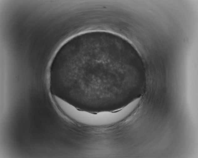 X0000094231519200711091305