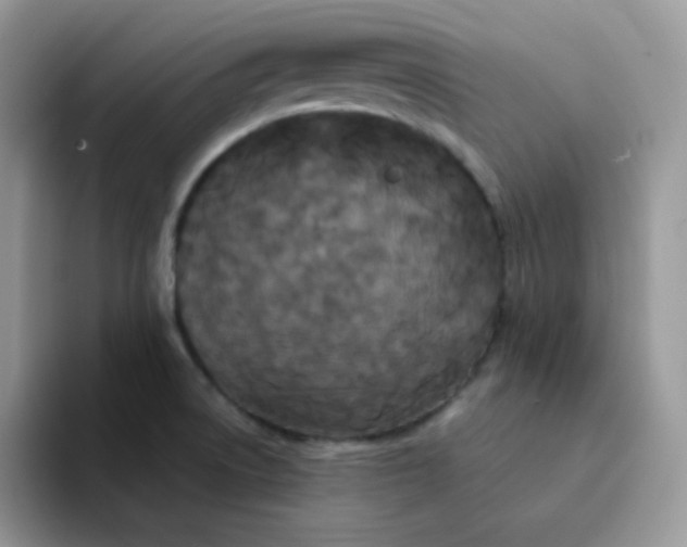 X0000094231522200711091305