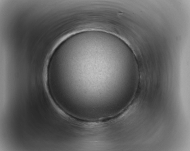 X0000094231523200711091305