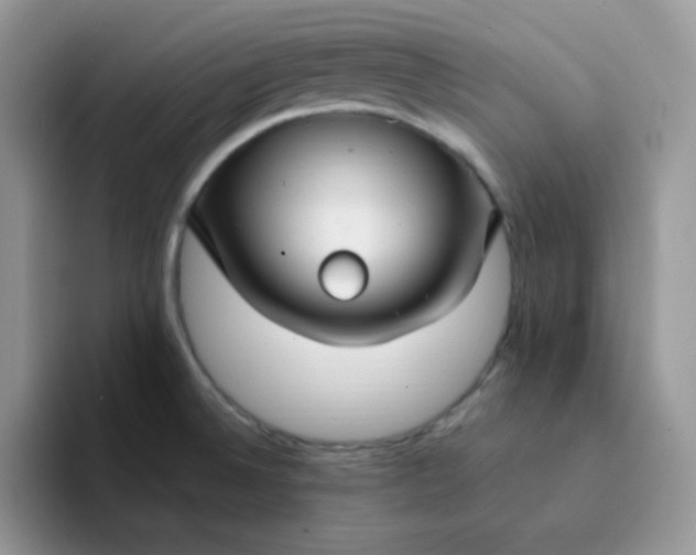 X0000094231524200711091305