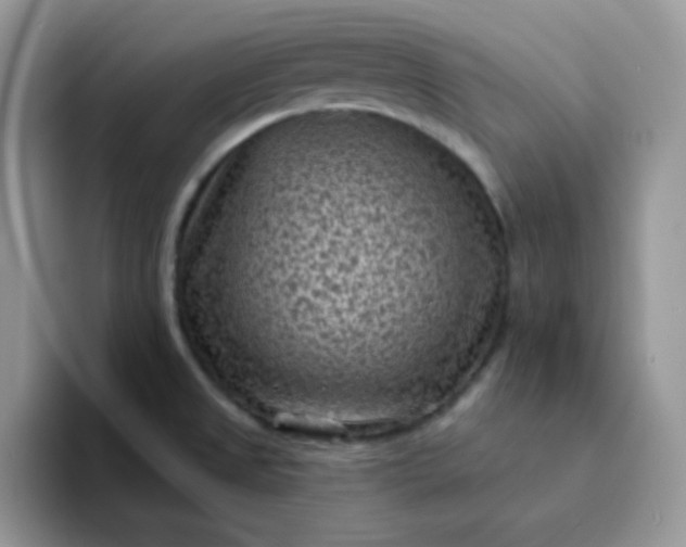 X0000094231525200711091305