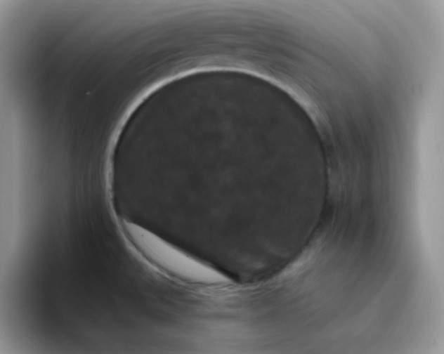 X0000094231527200711091305