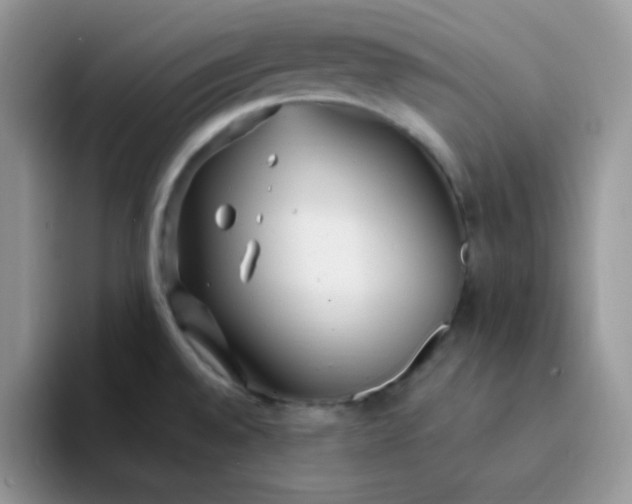 X0000094231528200711091305