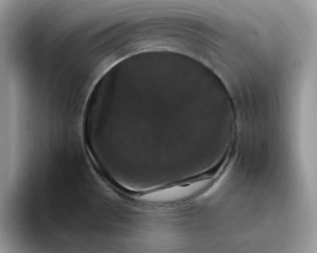 X0000094231529200711091305