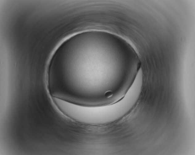 X0000094231531200711091305