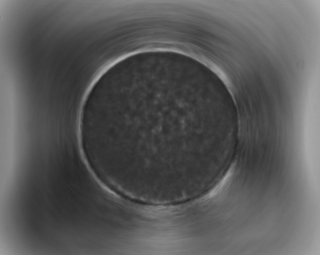 X0000094231533200711091305