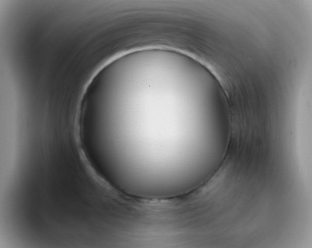 X0000094231534200711091305