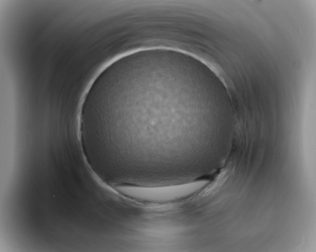 X0000094231535200711091305