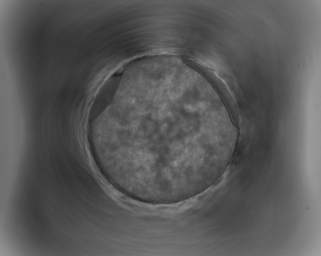 X0000094230001200711161918