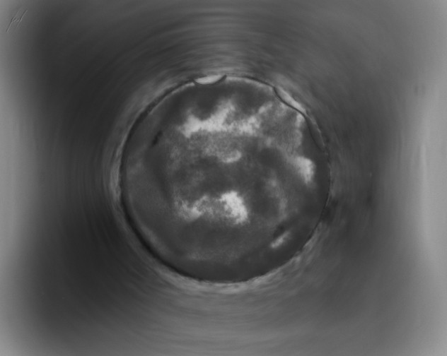 X0000094230002200711161918