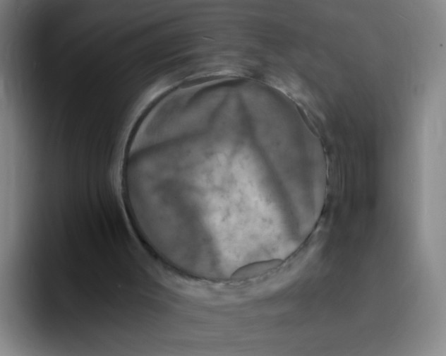 X0000094230003200711161918