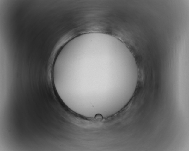 X0000094230004200711161918