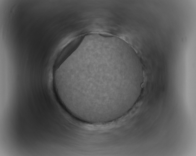 X0000094230005200711161918