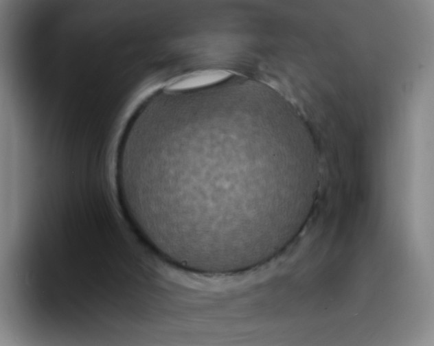 X0000094230006200711161918