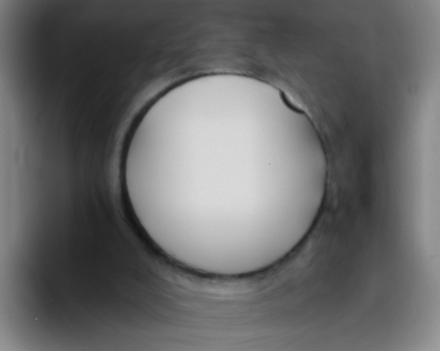 X0000094230008200711161918