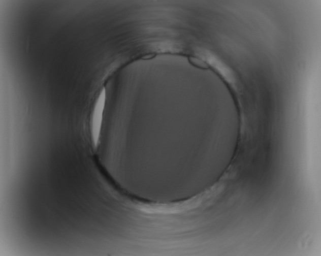 X0000094230009200711161918