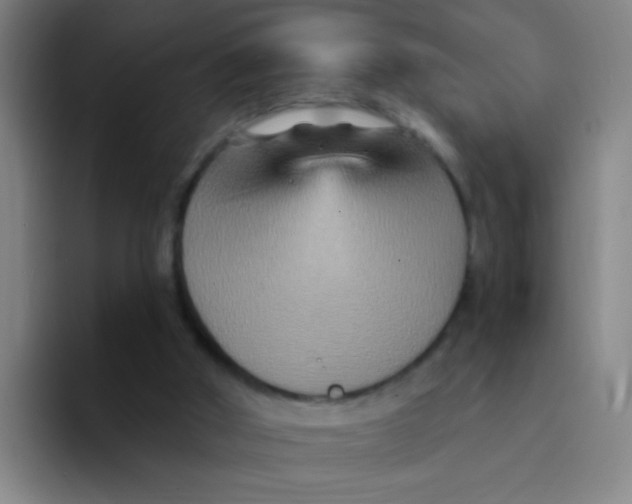 X0000094230010200711161918