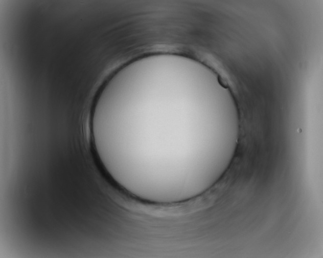 X0000094230011200711161918