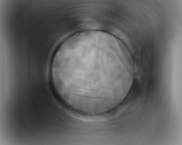 X0000094230012200711161918