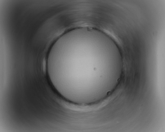 X0000094230014200711161918