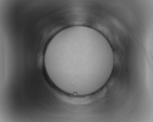 X0000094230016200711161918