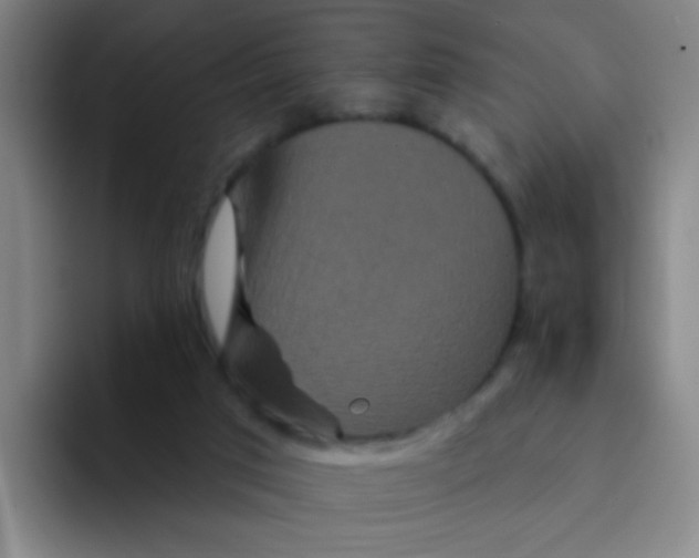 X0000094230017200711161918
