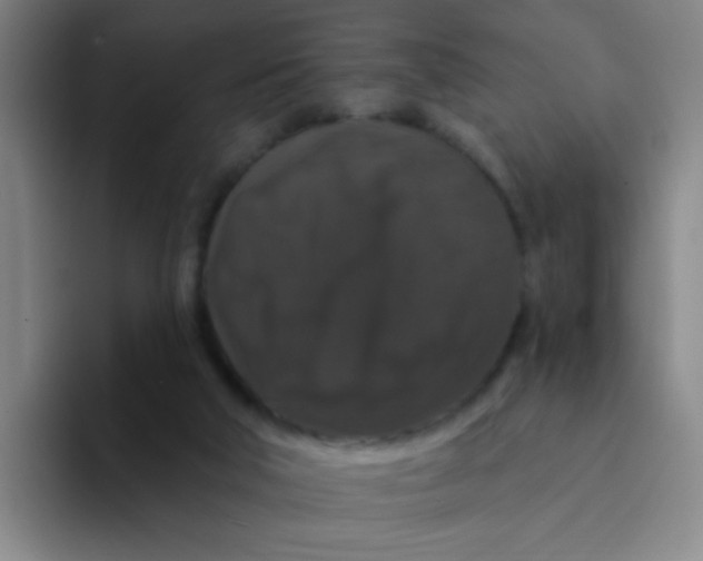 X0000094230018200711161918