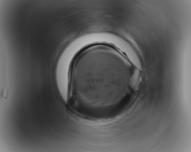 X0000094230019200711161918