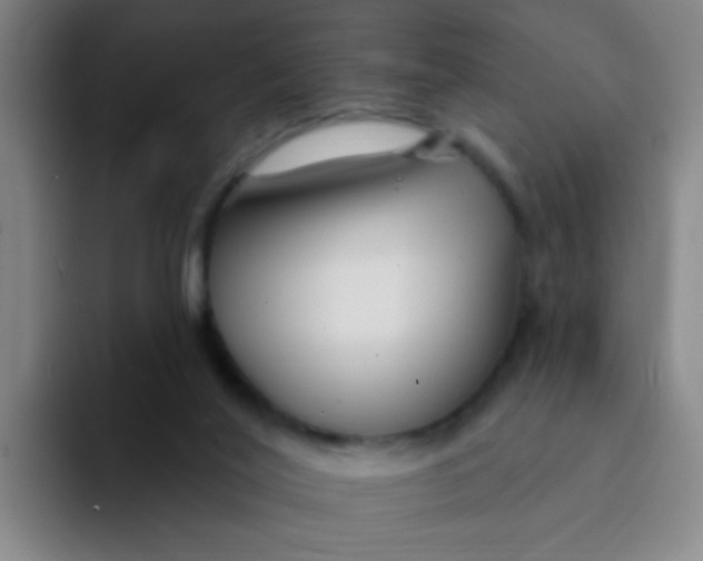 X0000094230020200711161918