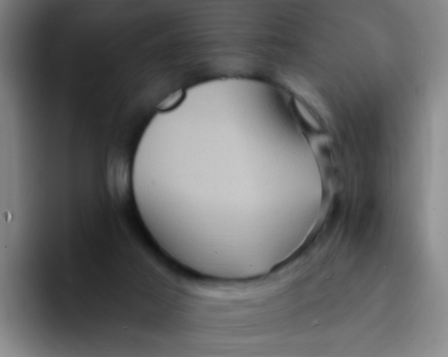 X0000094230021200711161918