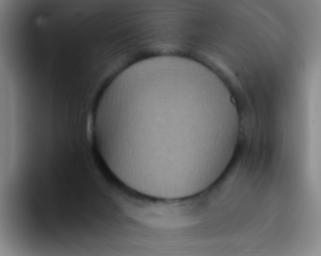 X0000094230024200711161918