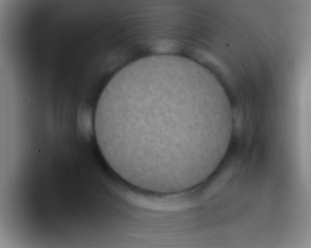 X0000094230028200711161918