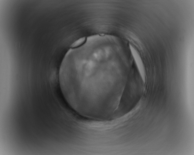 X0000094230029200711161918