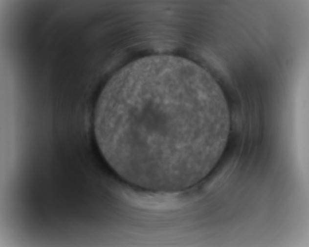X0000094230032200711161918