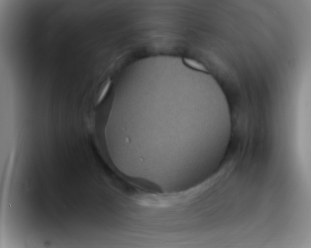 X0000094230033200711161918