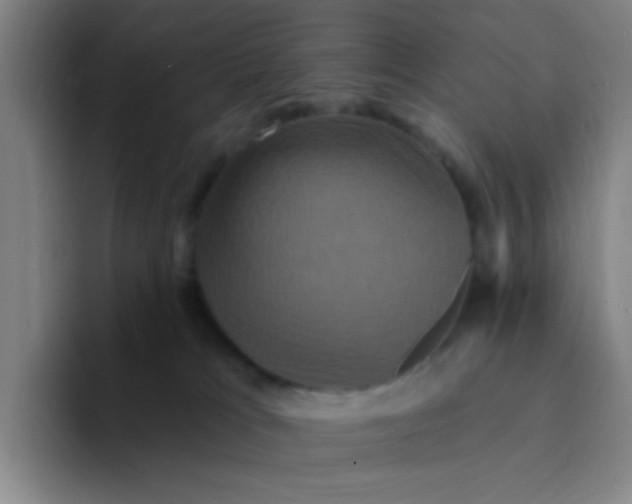X0000094230037200711161918