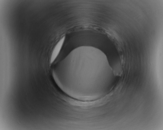 X0000094230039200711161918