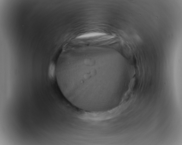 X0000094230041200711161918