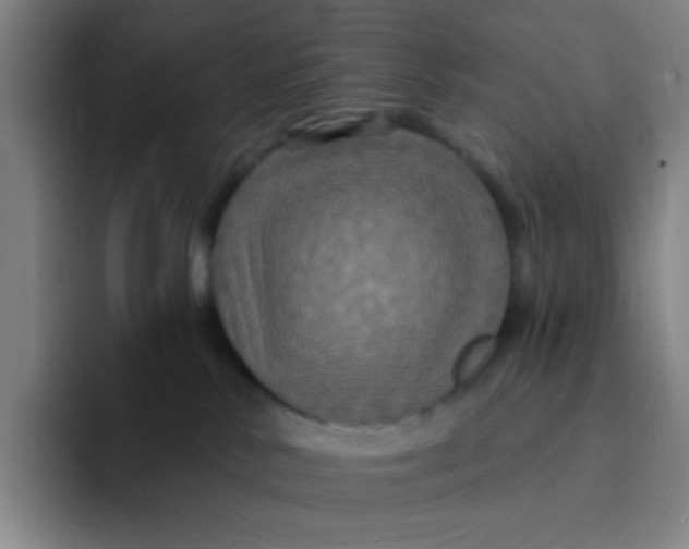 X0000094230042200711161918