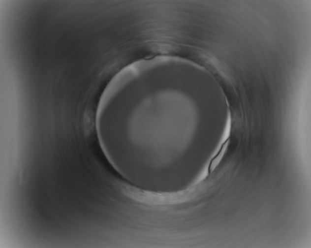 X0000094230043200711161918