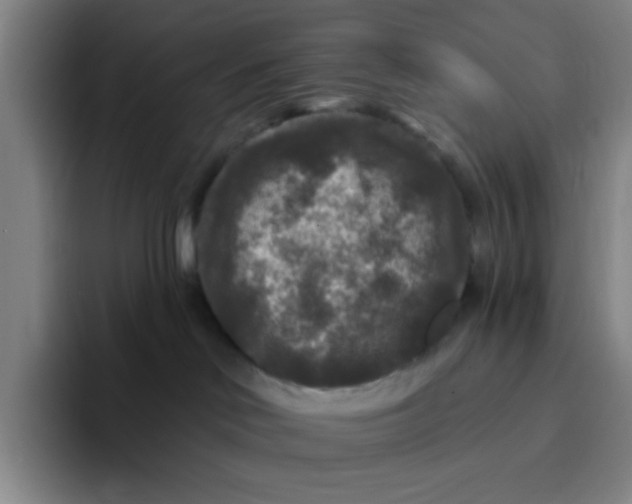 X0000094230046200711161918