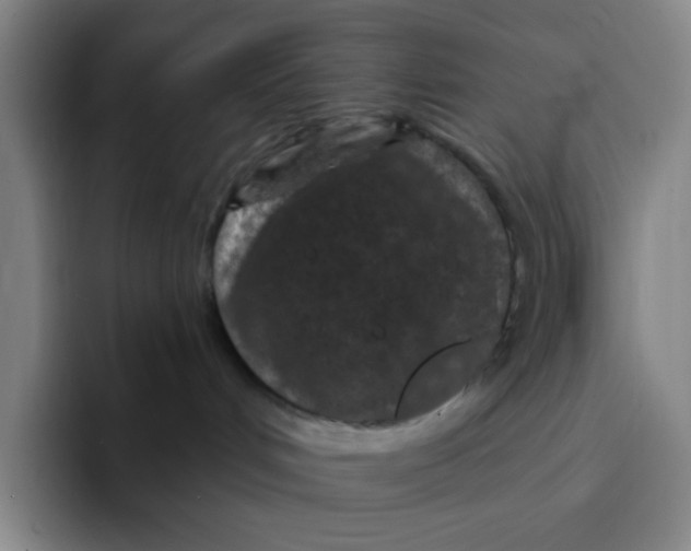 X0000094230048200711161918