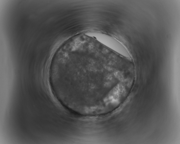 X0000094230049200711161917