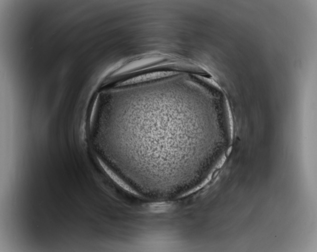 X0000094230050200711161917