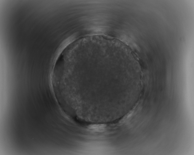 X0000094230051200711161917