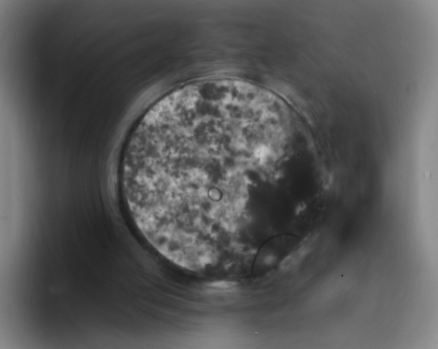 X0000094230053200711161917