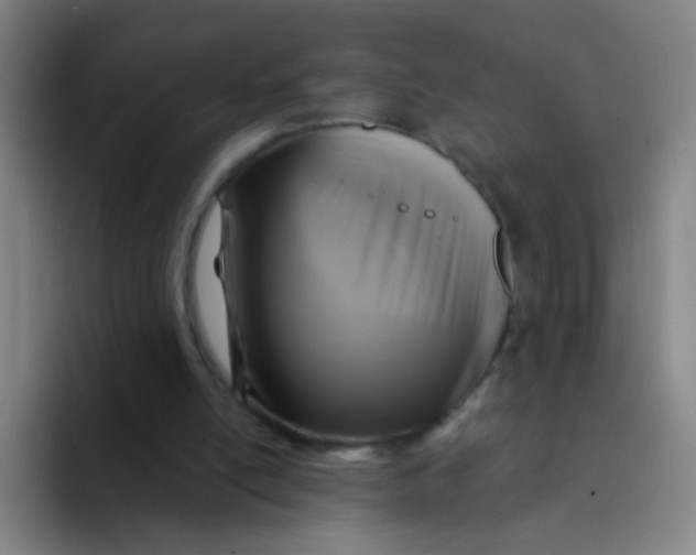 X0000094230054200711161917