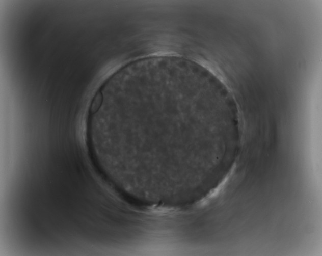 X0000094230055200711161917