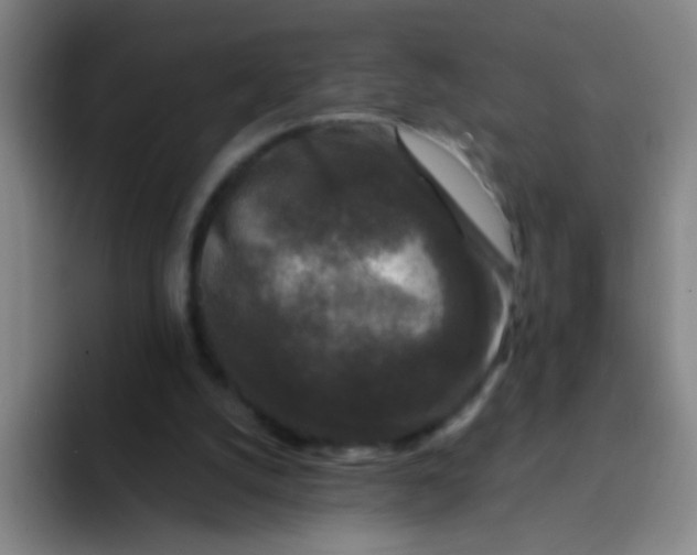 X0000094230056200711161917