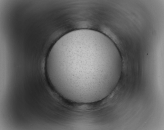 X0000094230058200711161917